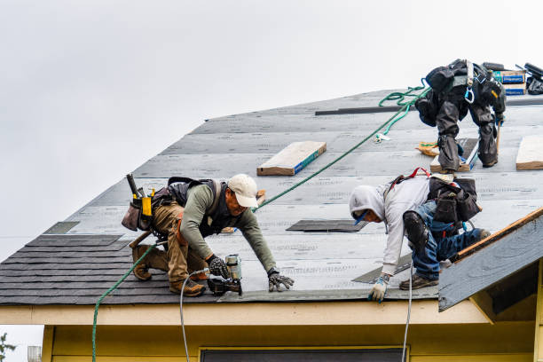 Professional Roofing technician working in Colona, IL